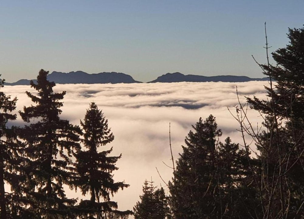 Apartment for 6 in Chamrousse