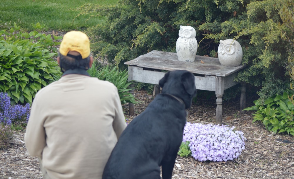 Wenzler's Landing Bed & Breakfast