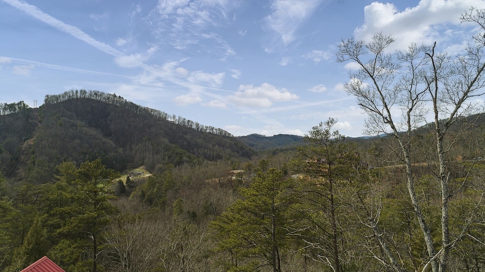 Appalachian Lodge - 4 Bedrooms, 4 Baths, Sleeps 14 Home by RedAwning