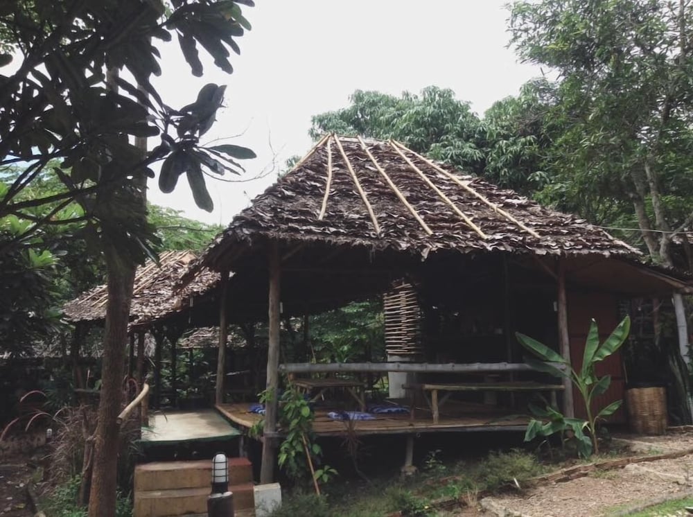 Re - Wild House