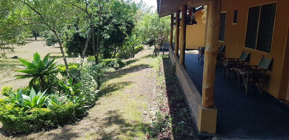 Photo 19