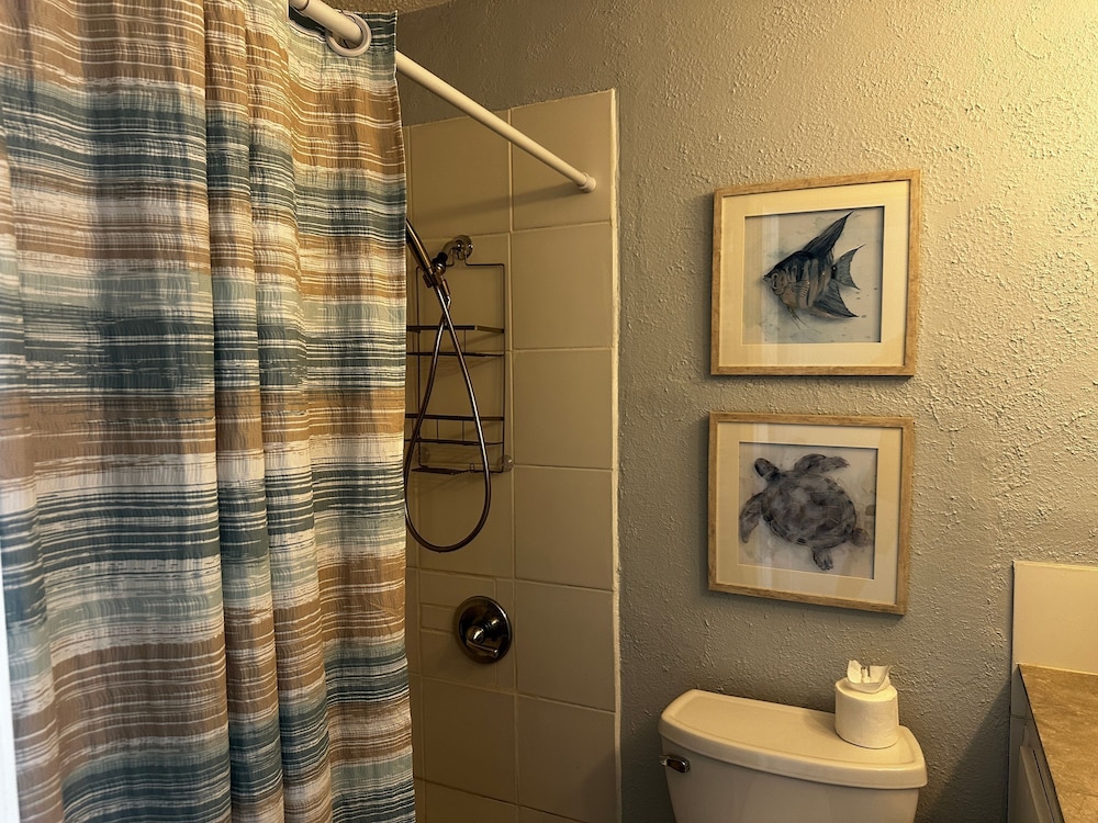 Beach Front Ocean View Condo - Top of the Gulf 615