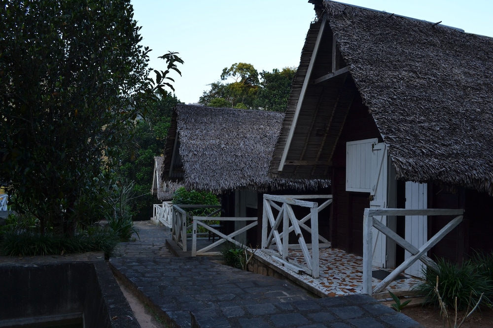 Forêt Australe