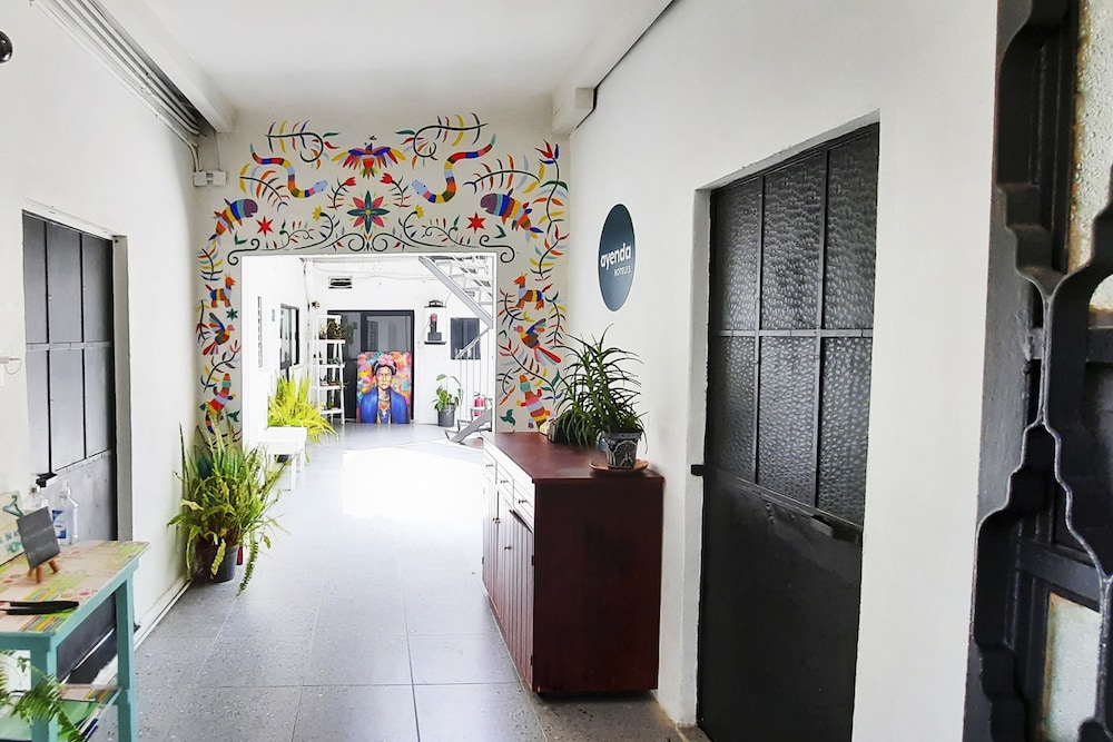 Ayenda Hermila Tlalpan Suites photo 4