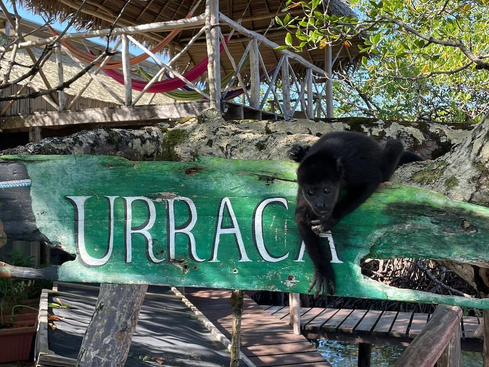Urraca Monkey Island Eco Resort