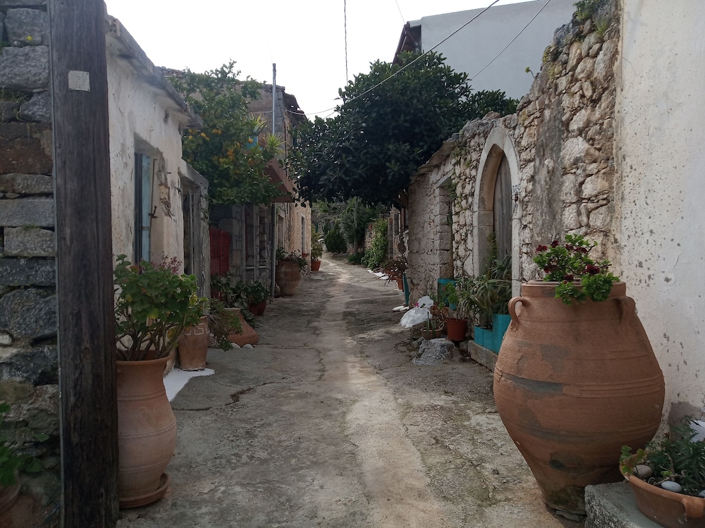 Photo 13