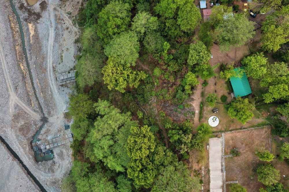 Bijrani Jungle Cottages by CYJ