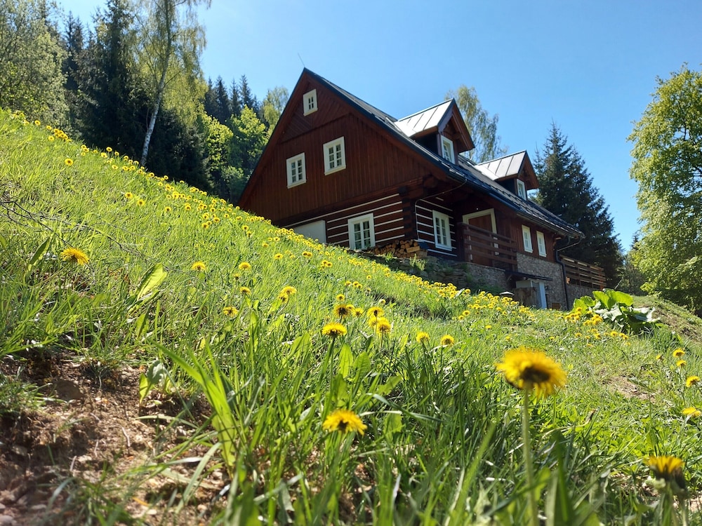 Villa Near Horni Domky Ski Resort