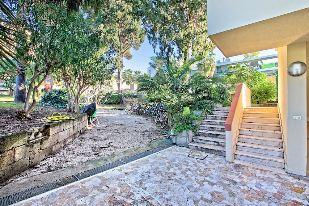 Jolie Sur La Mer - Petit Studio