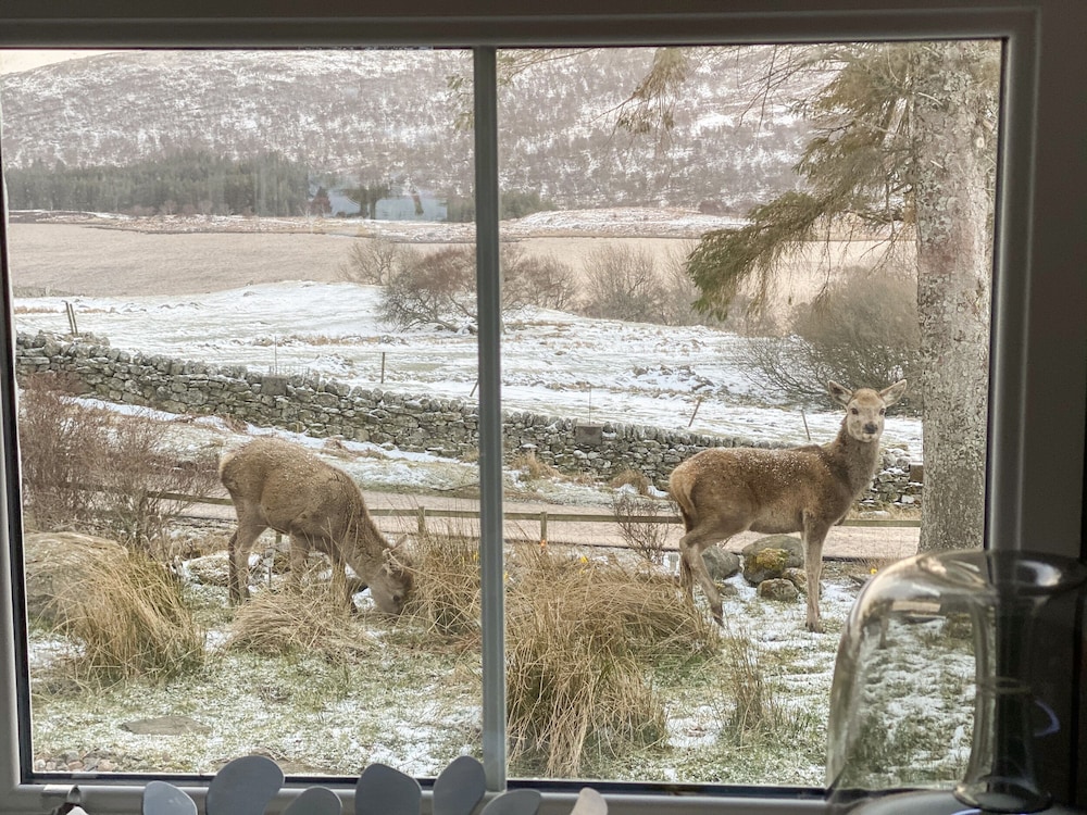 Old Grumbeg Cottage view 3