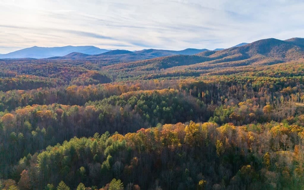 Blue Ridge Beech Cabin