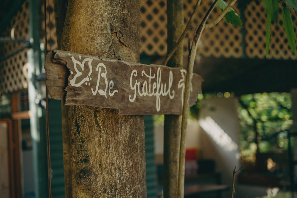 Chilamate Rainforest Beach Retreat