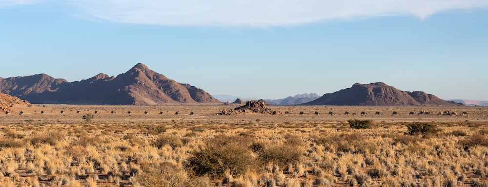 Desert Quiver Camp