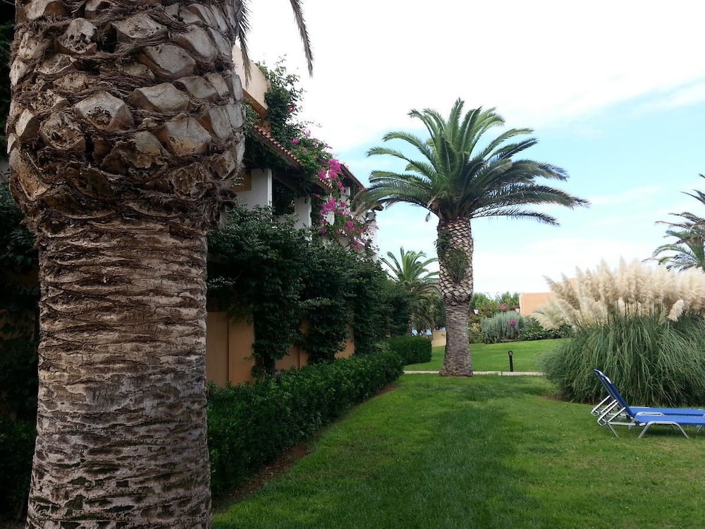 Photo 201
