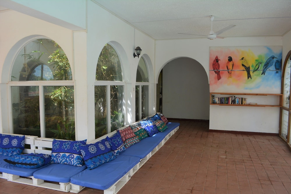 Tulia House - Hostel view 2