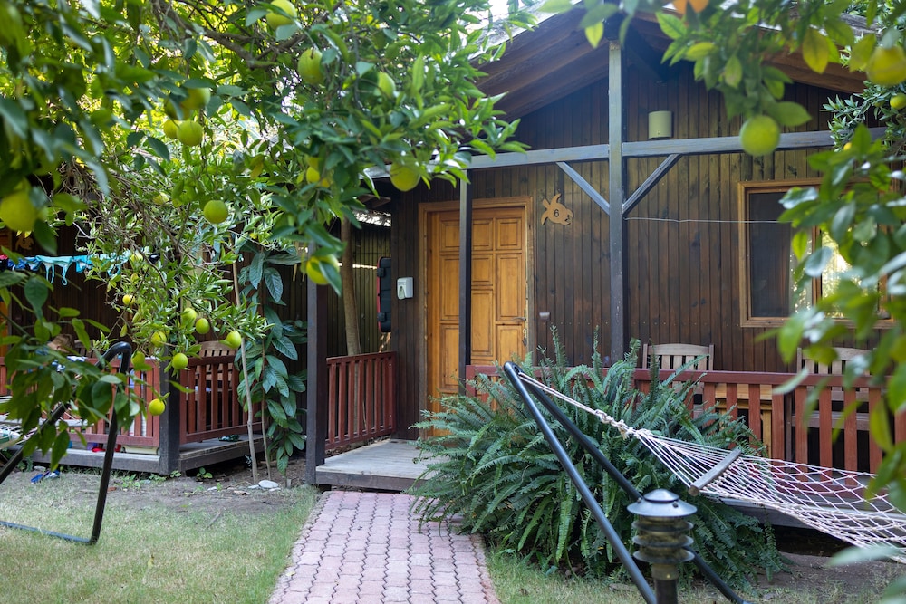 Caretta Caretta Pension