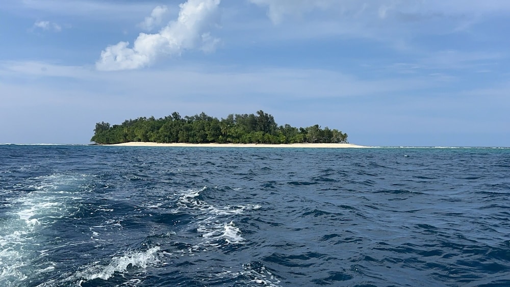 Dany Island