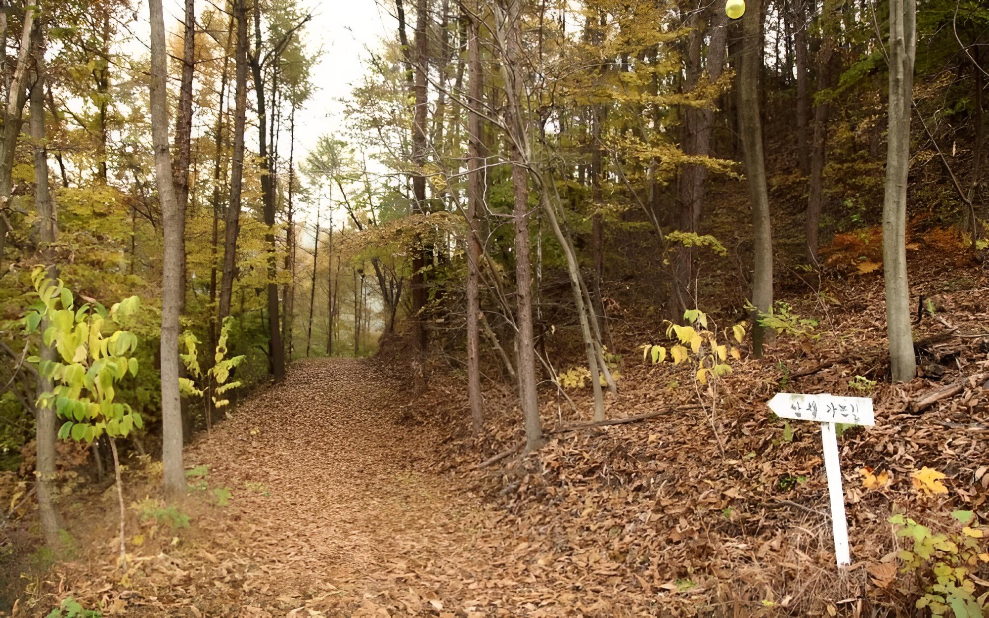 Buye Glamping Pan view 5