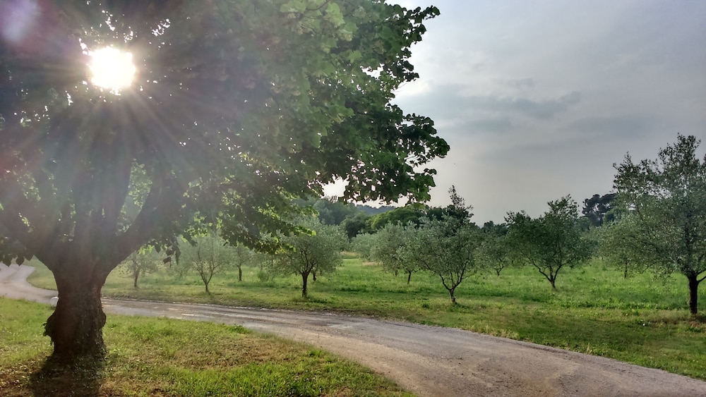 Mas de Cocagne en Provence