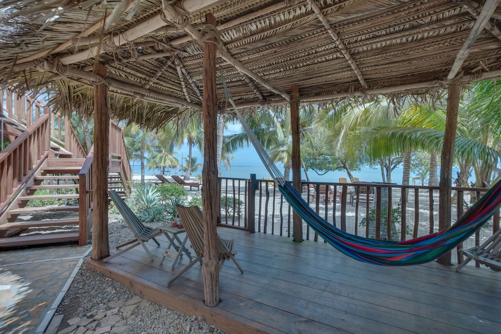 Buttonwood Belize