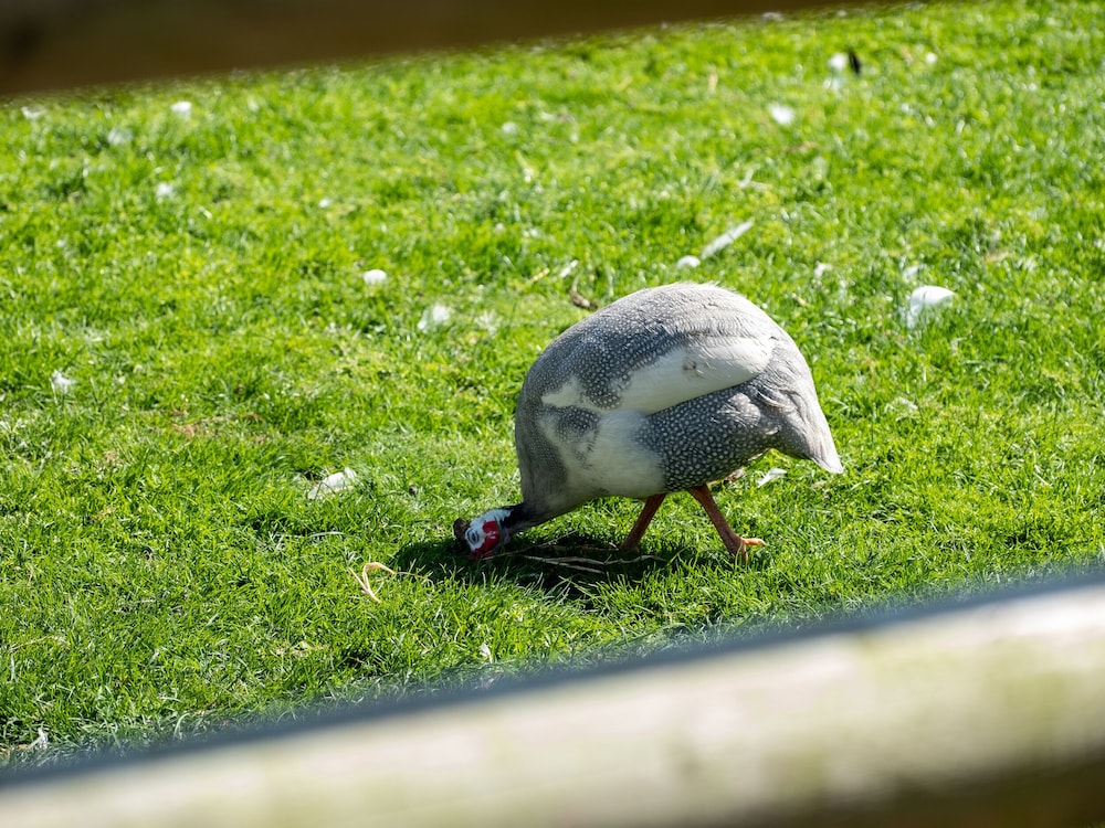 Harbour Lodge