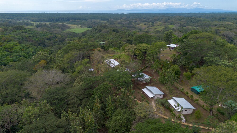 Tarcoles Birding Lodge