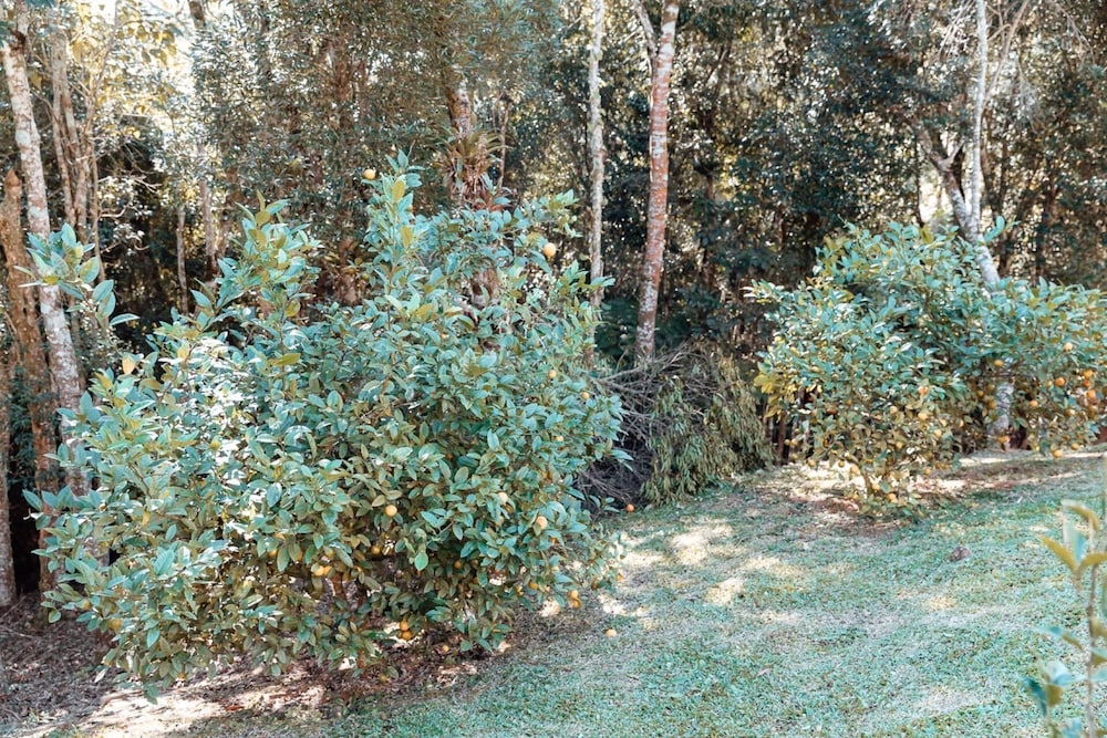 Recanto Lago Negro - Rancho Queimado