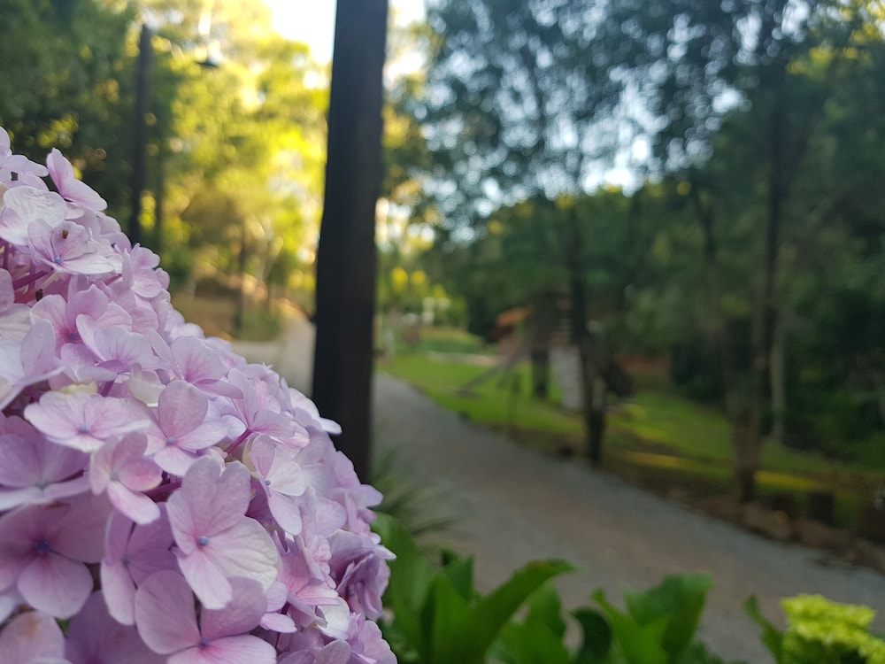 Villa Italia Hospedagem