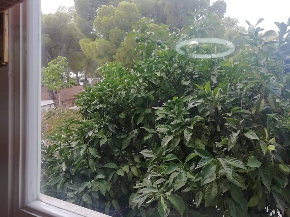 Nice House With sea View in Spetses, Greece photo 5