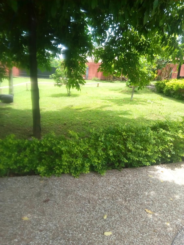 Photo 33