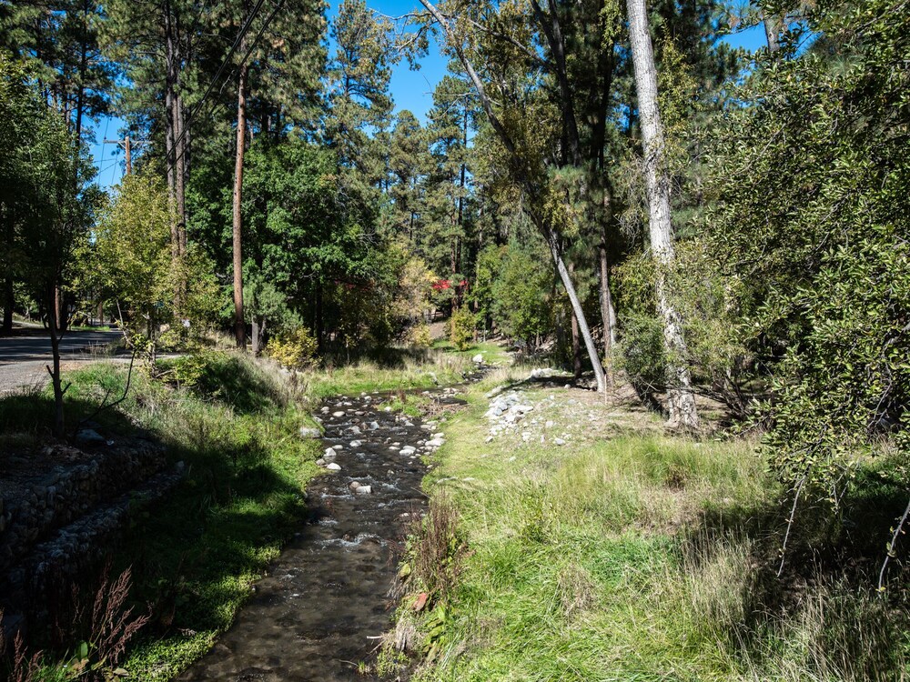 Photo 22