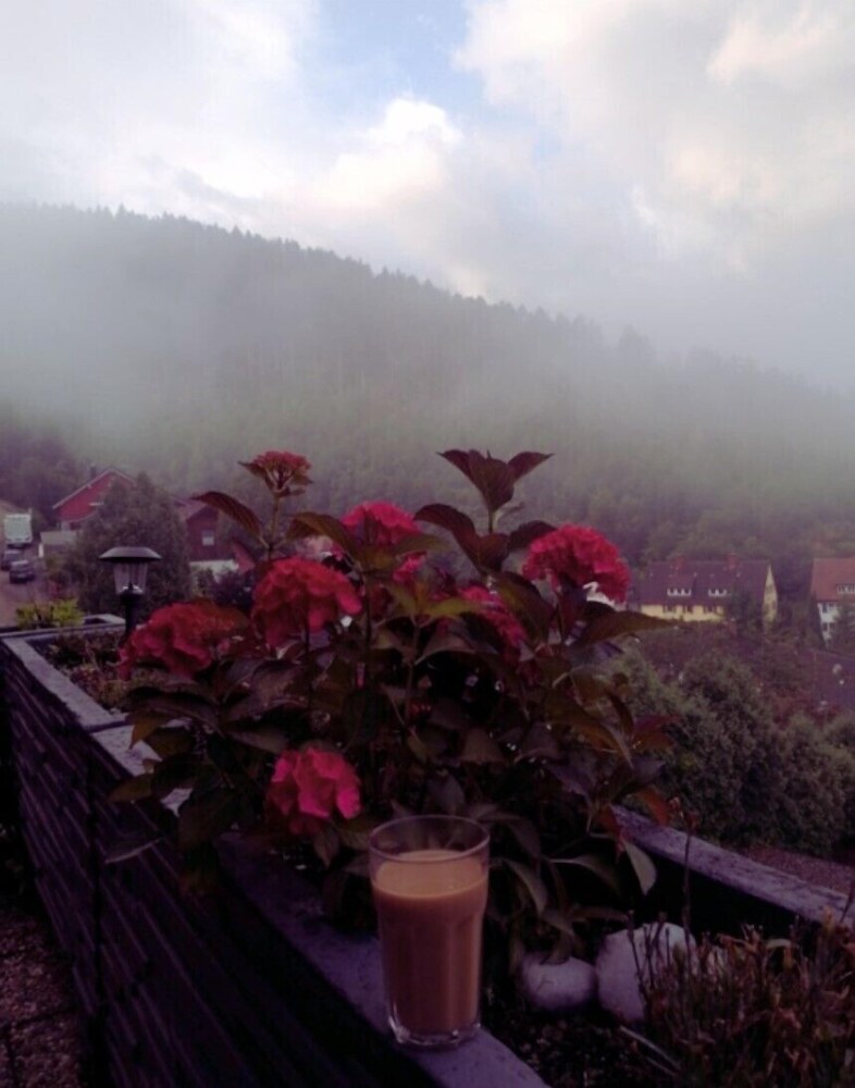Pension Schwarzwaldblick