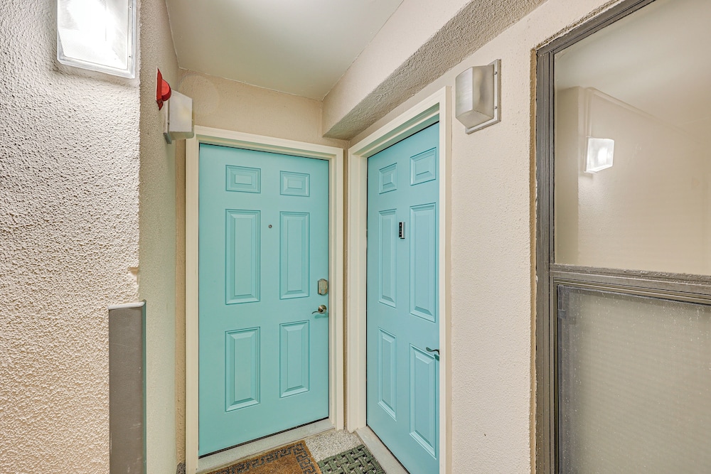 Dogs Welcome: Beachfront South Padre Island Condo