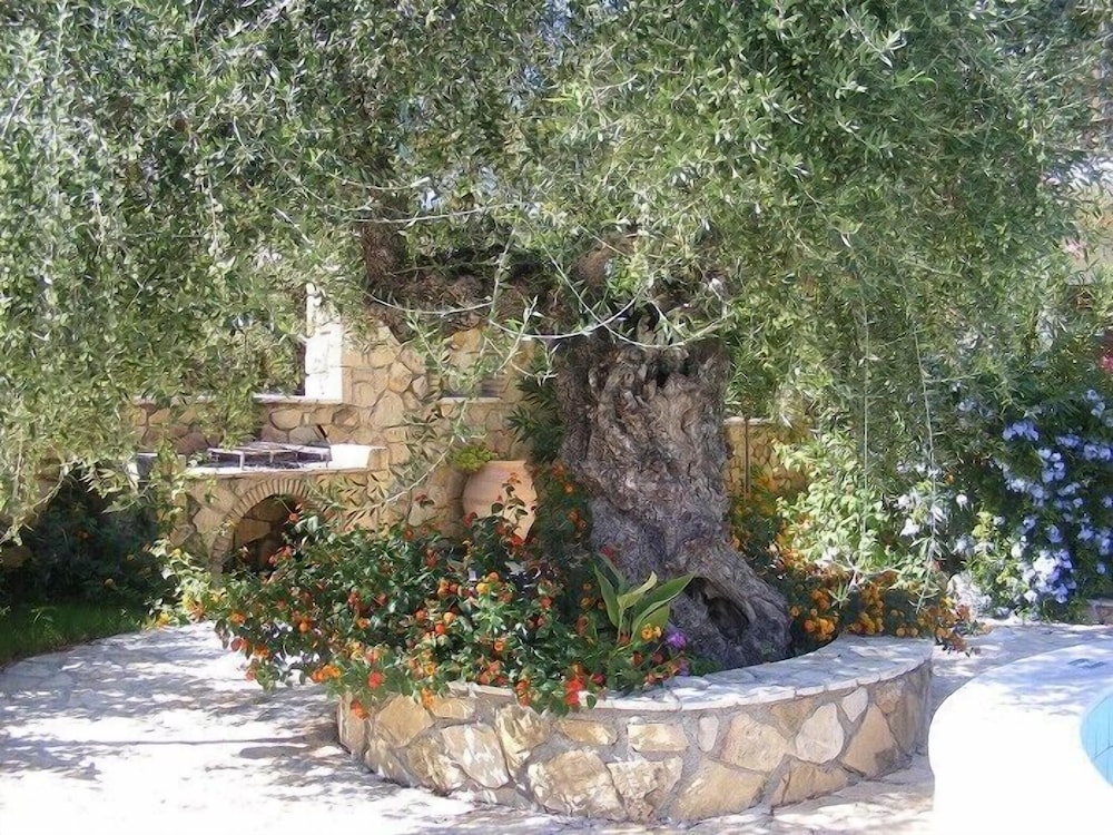 Photo 26