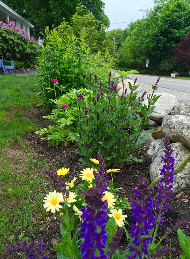 Bourne Bed and Breakfast