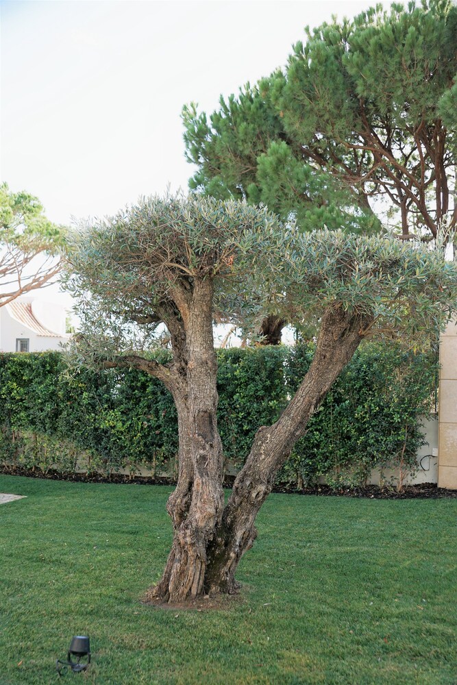 Charming Exceptional Villa in Algarve