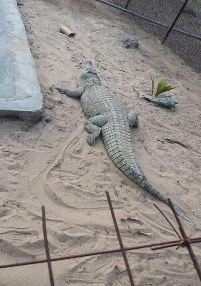 El´molo Crocodile Park and Lodge