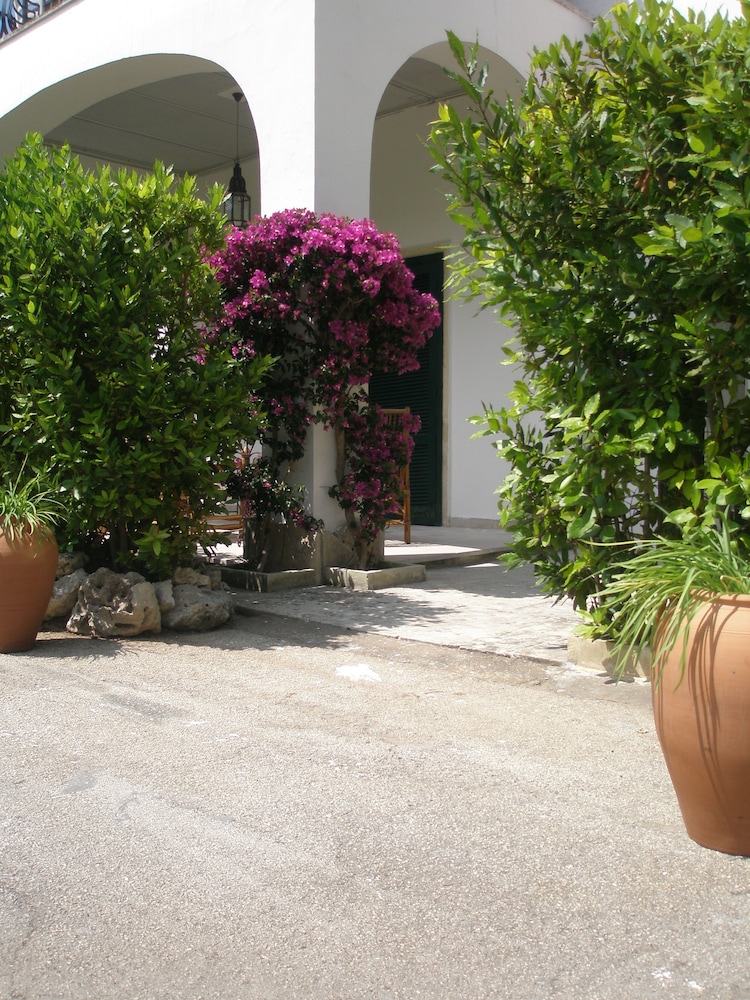 Tenuta Belvedere