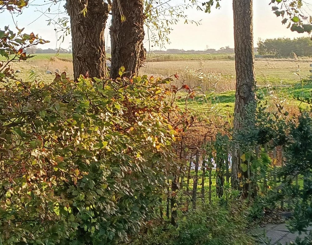 Cozy Holiday Home in Sint Maartenszee