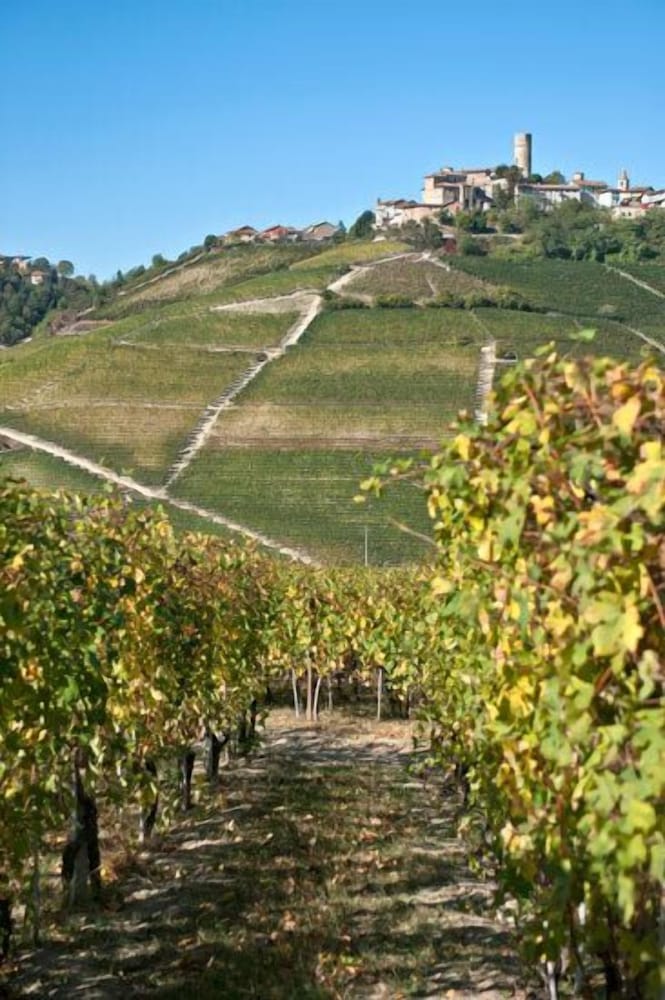 Tenuta Cappallotto
