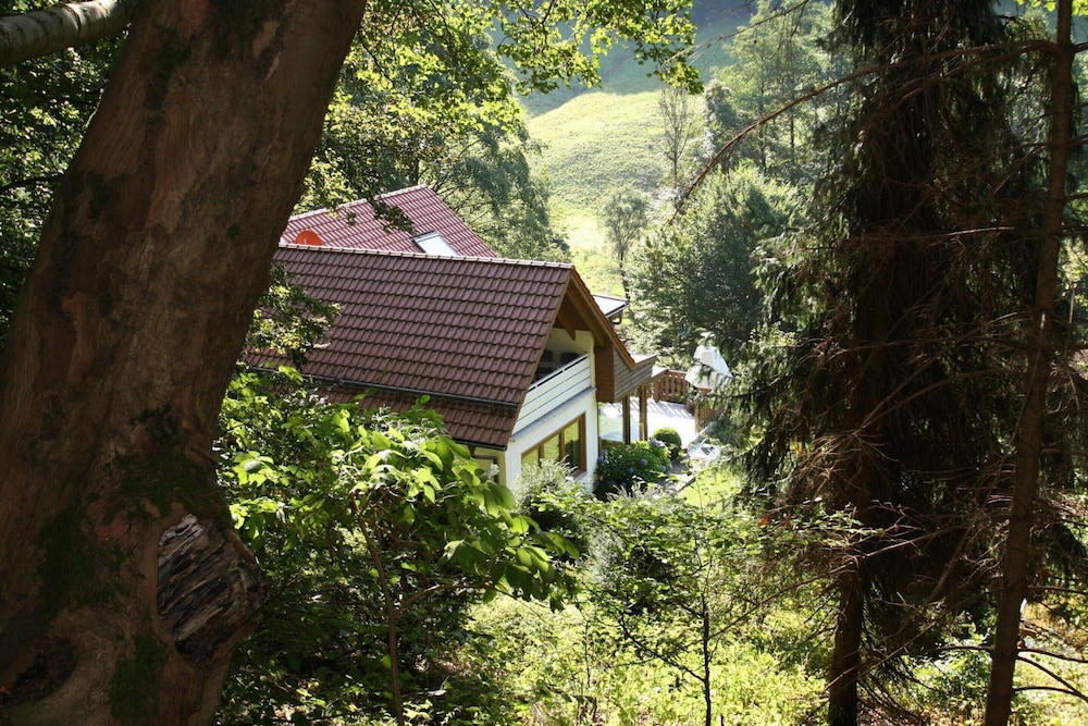 Ferienwohnung Haus am Berg, Lonau