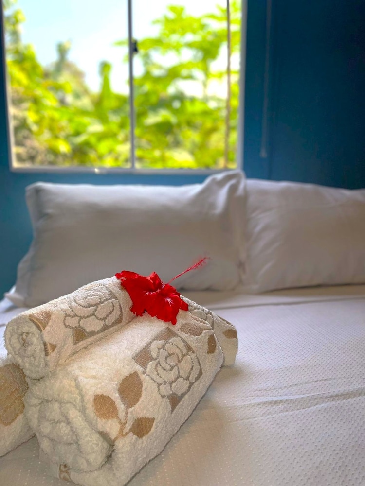 Casa Noronha Martins