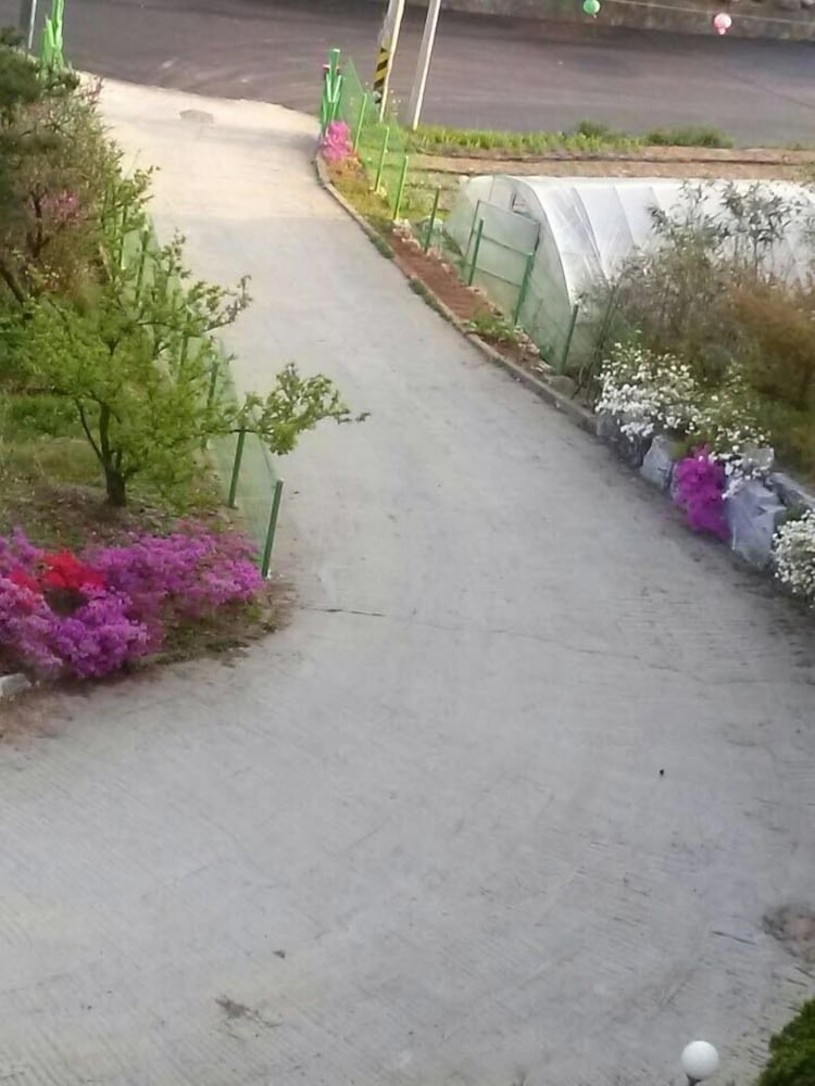 Photo 23