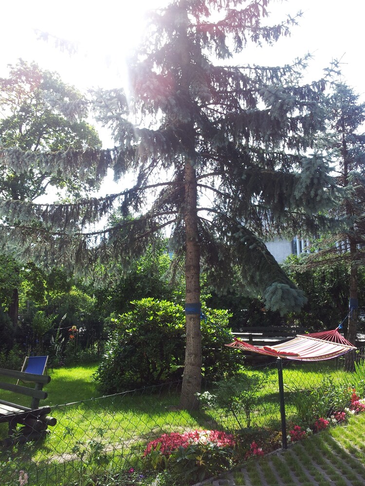 Hostel Grande Sopotiera