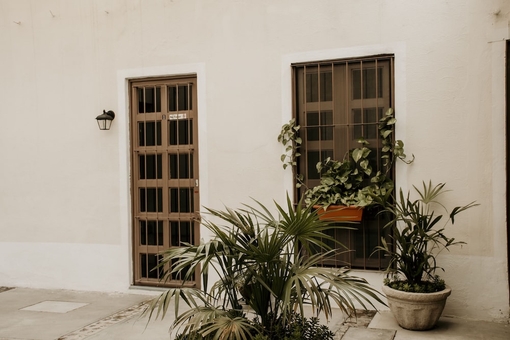 Photo 8