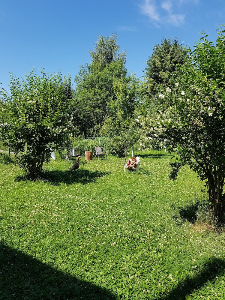 Photo 40