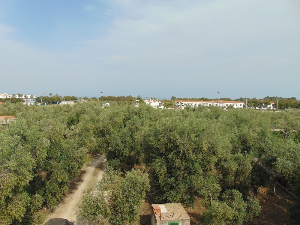 Photo 33