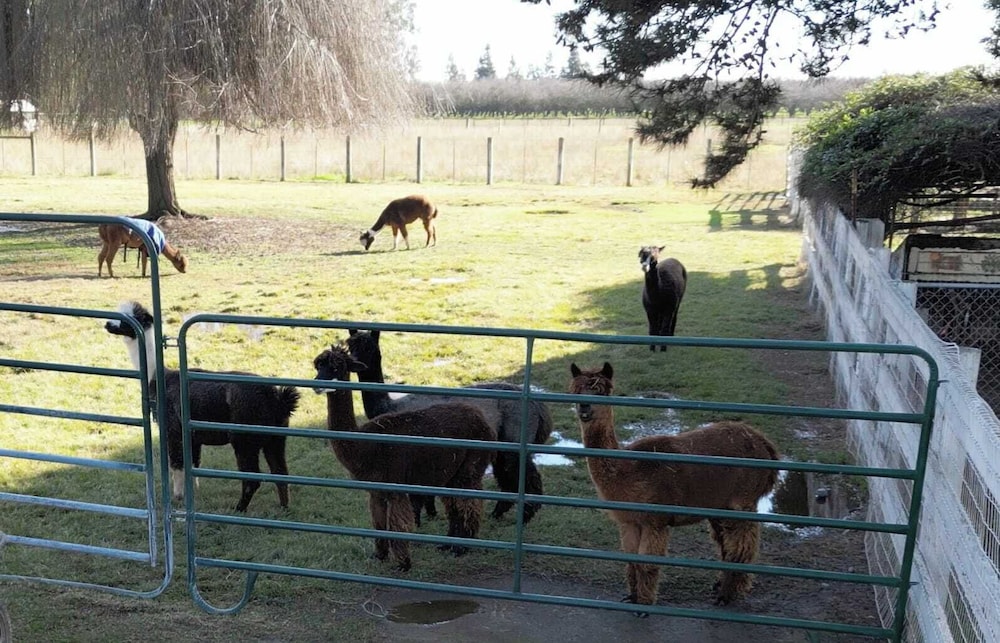 @ Marbella Lane - Alpaca Farm House l Pool