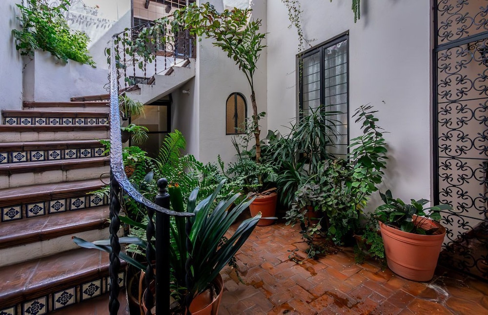 Casa Xola - Property Image 6
