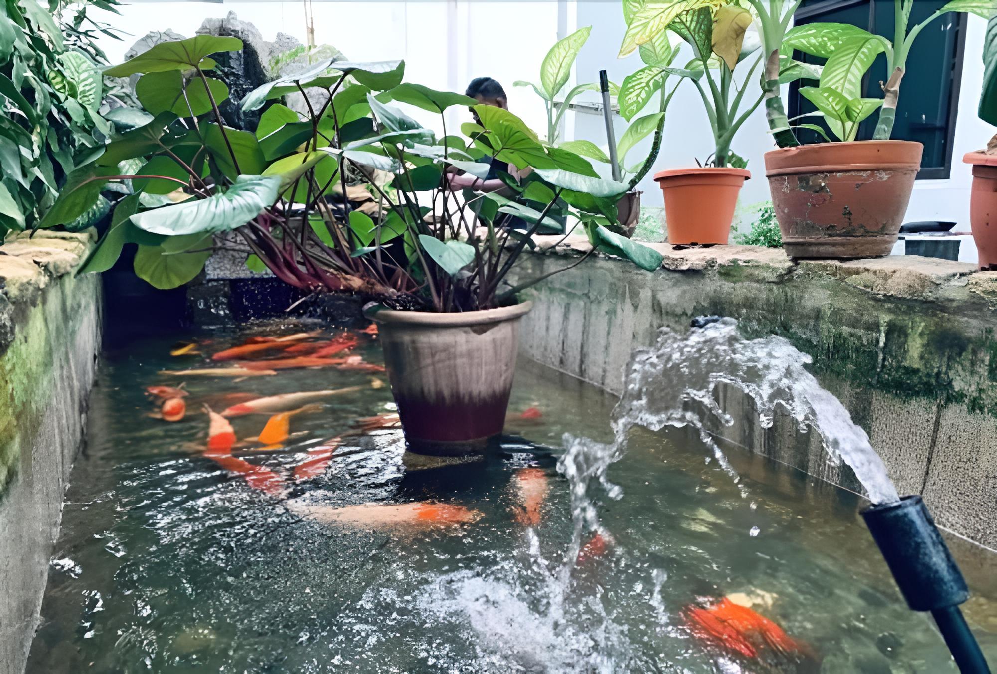 Lai Ming Hotel